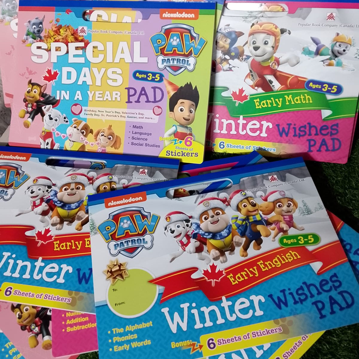 Collection of Paw Patrol educational books and sticker pads on a grassy surface