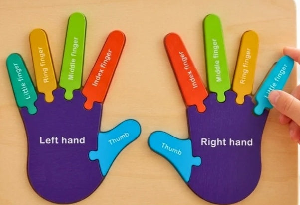 Hand Feet Puzzle Set