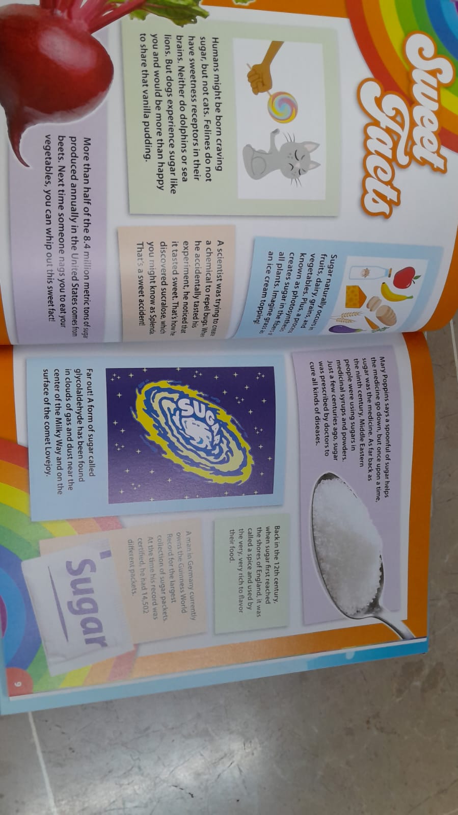 Sugar Lab" Science Experiment Kit