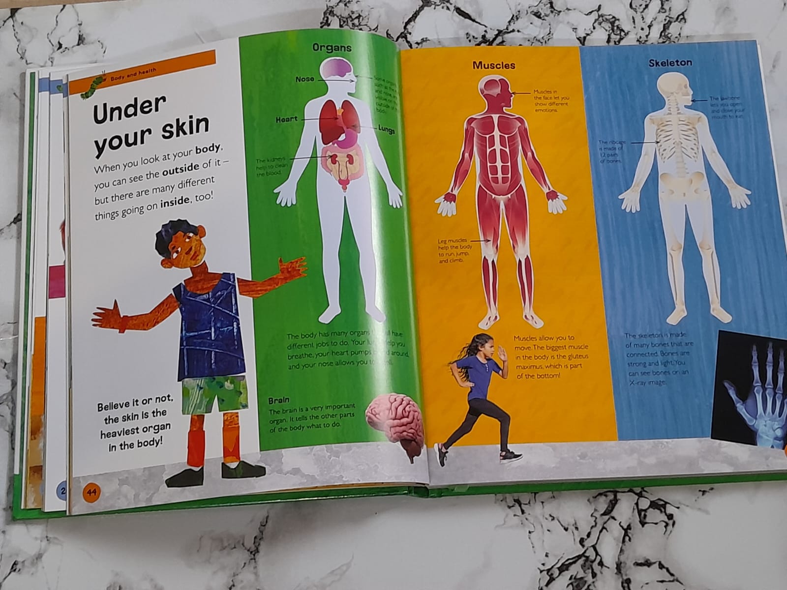 Very First Encyclopedia by DK Children × Eric Carle | Age 3–7