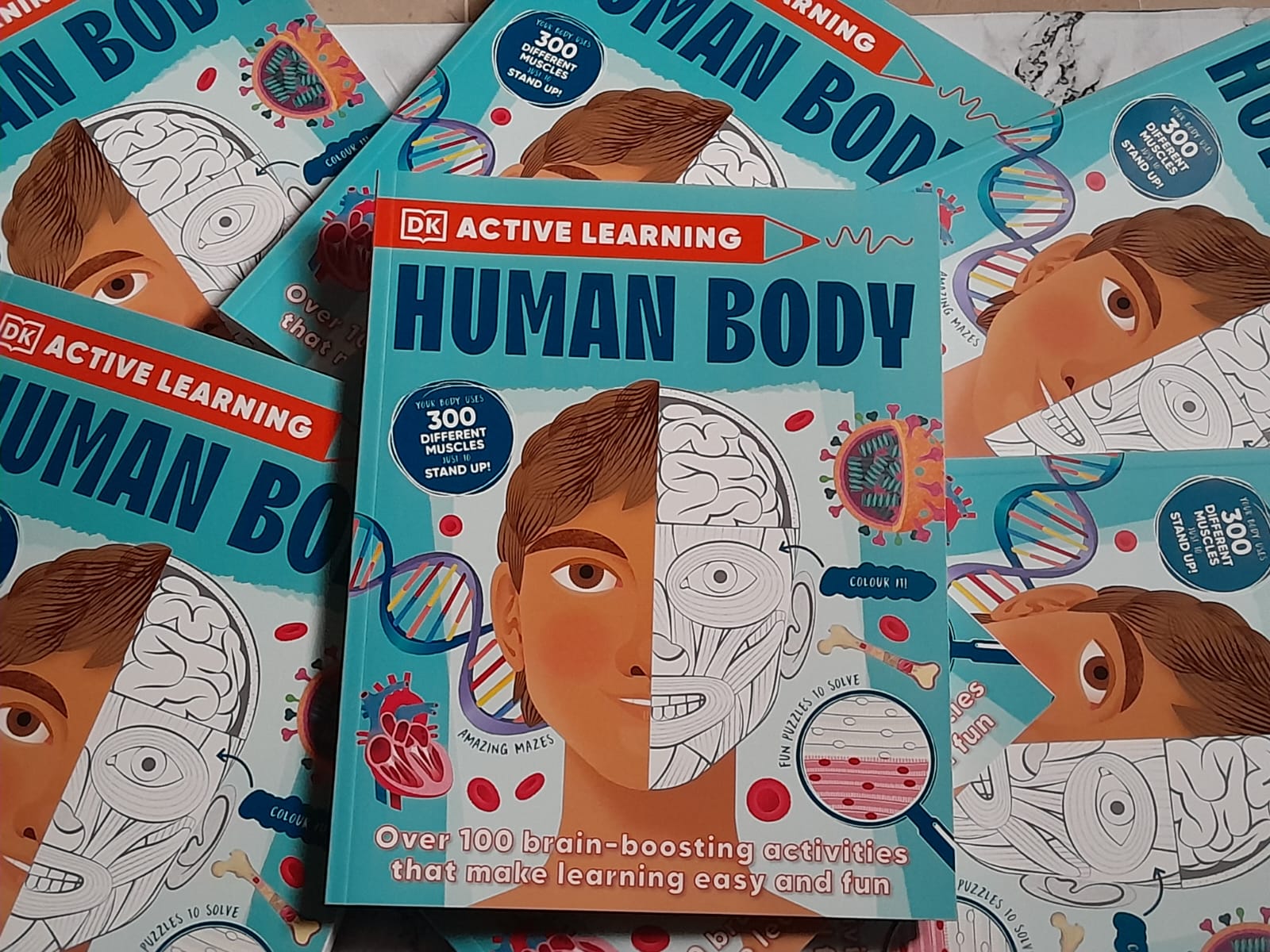 Human Body