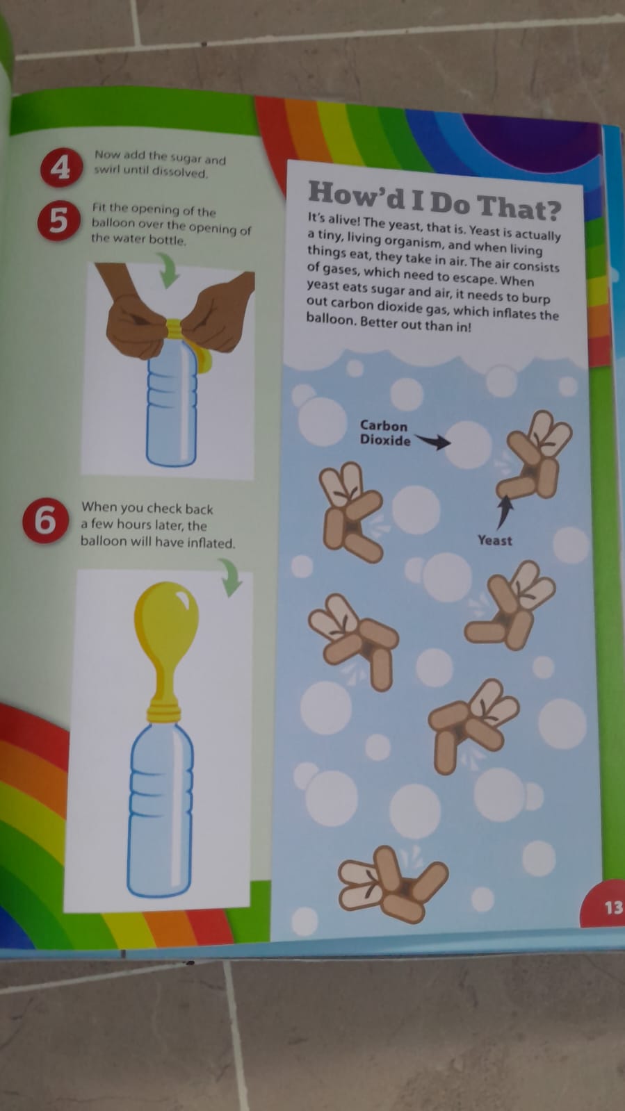 Sugar Lab" Science Experiment Kit